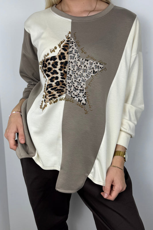 Langarmshirt mit Stern-Applikation-Mud